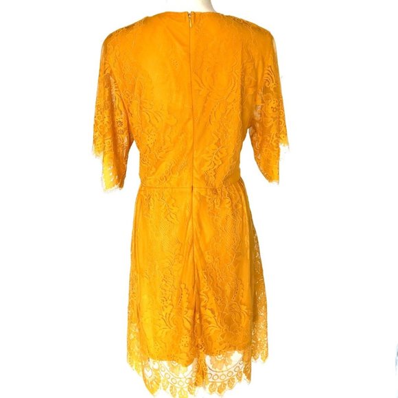 FRANCESCA'S Yellow Lace Knee Length Dress XL - Picture 4 of 8